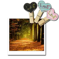 FangNymph 10 шт. красочные мини печати Amor Деревянные клипы одежда Бумага фото клипы практическая ремесло Почтовые открытки подарок клипы