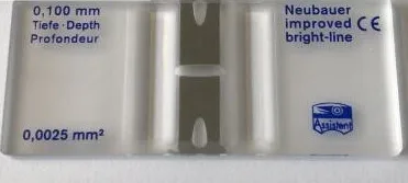 

For Assistent Improved Neubauer-improved Neubauer improved Bright-Line Count Plate Bright Line Bright Line