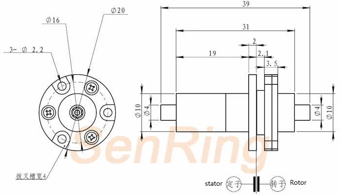 snfo01size english 