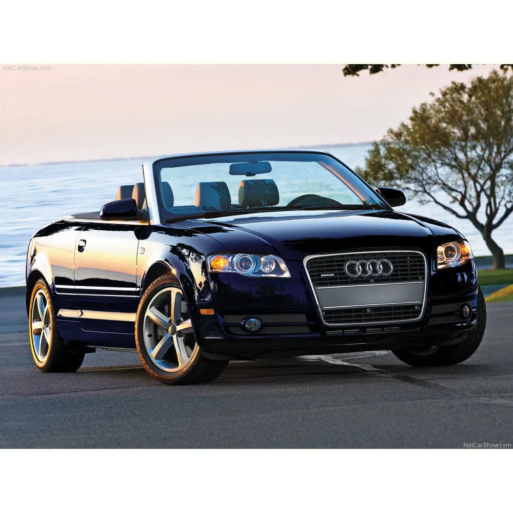 

Free Shipping 2Pcs/Lot car-styling Car Led Lamp canbus Front and Rear light sources For Audi A4 Convertible (8H7 B6 8HE B7)