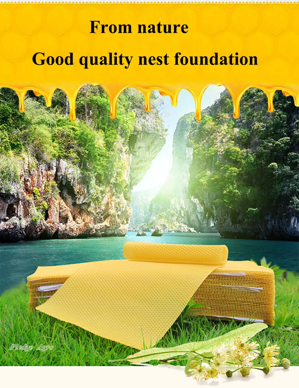 O1CN01og6d7h1Gnz3o6RRmf_!!4098570668