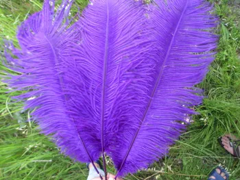 

Wholesale 10pcs / lot high quality ostrich feathers 22-24 inches / 55-60 cm purple feather stage decoration celebration