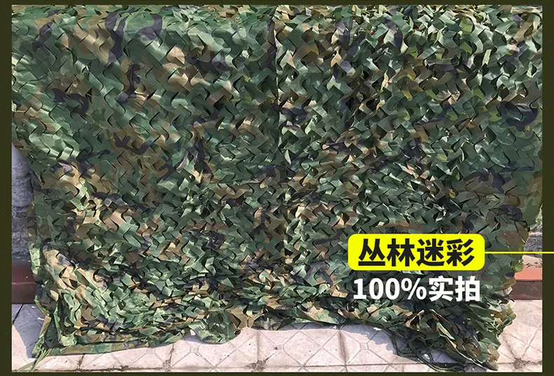 4136769168_933949272