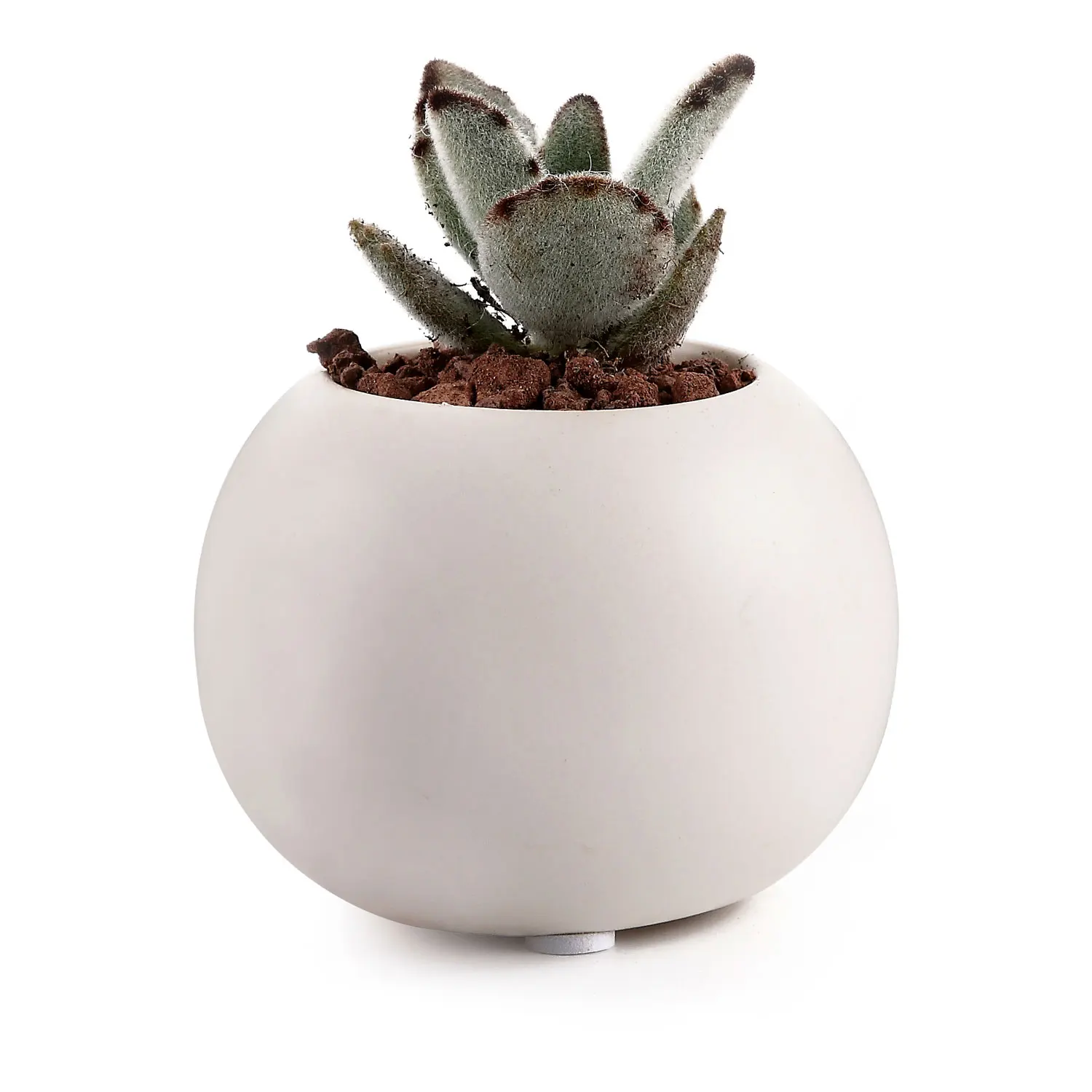 

T4U 3 Inch Ceramic Cameo Double Layer Howllow Design succulent Cactus Plant Pot Flower Pot/Container/Planter Beige