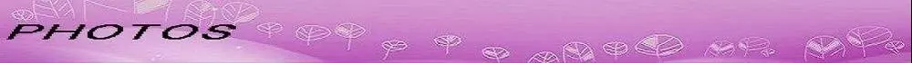 Fashion A-Line Pleats and Beaded Bodice Empire Sweetheart Floor-length Chapel Chiffon Bridal Wedding Dresses has Plus size 