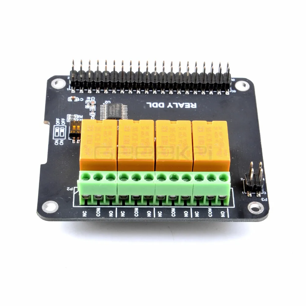 ddl-1