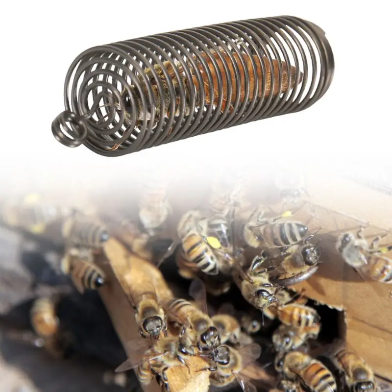 10 шт. новая весенняя клетка для пчел Защитная крышка клетки для насекомых оборудование для пчеловодства
