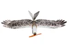 Mini Eagle EPP, modèle d'avion RC Wingspan 1200mm, livraison gratuite ► Photo 2/6