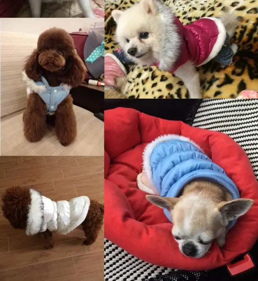 Осенний плюшевый чихуахуа, куртка с капюшоном для собак, пальто для кошек, без рукавов, 4 цвета, XS S M L XL 2XL 3XL