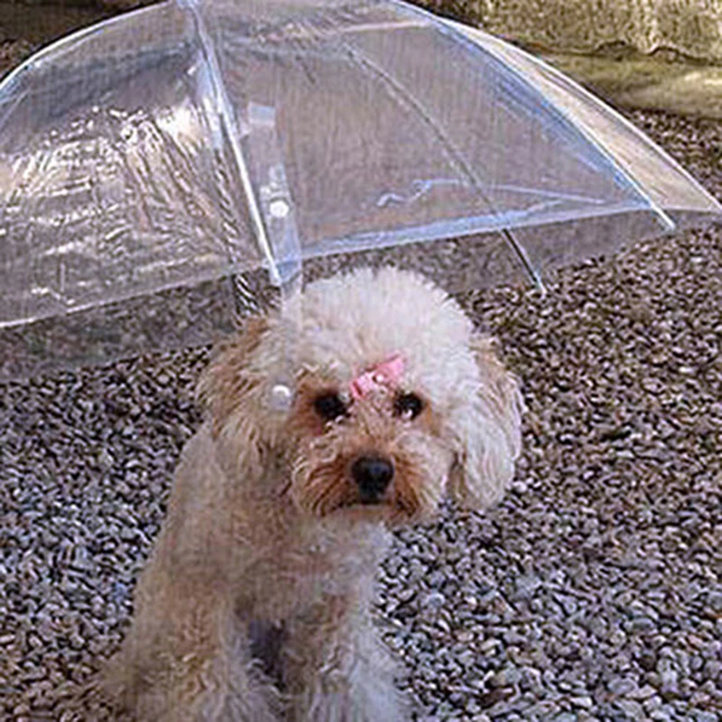 Pet Dog Umbrella Raincoat for Dog Pet Umbrella Raincoats Gear with Dog