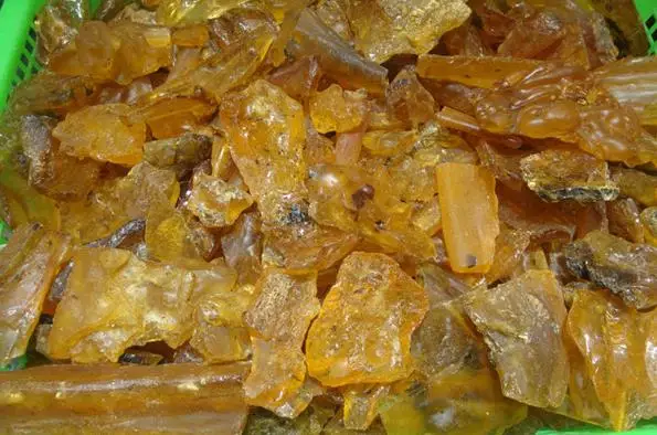 Натуральные насекомые янтарные копальные минеральные образцы оптом 100 г