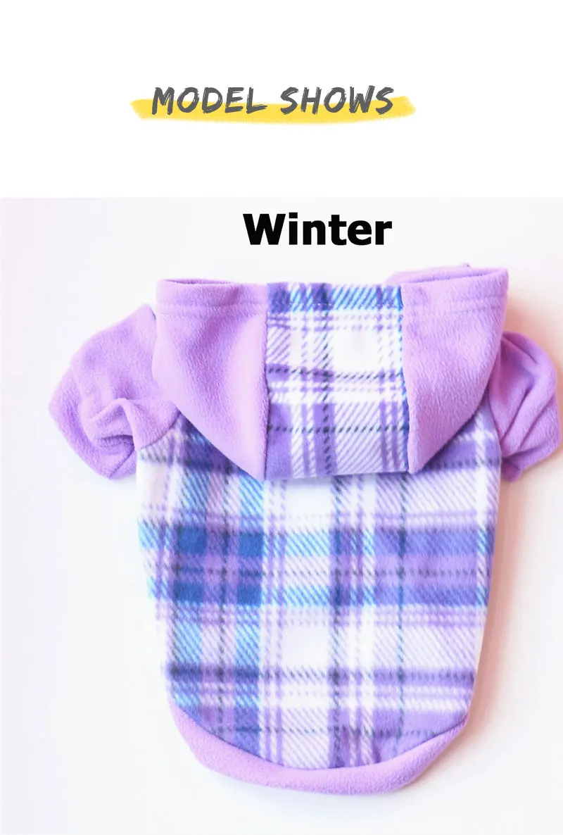 funny dog clothes