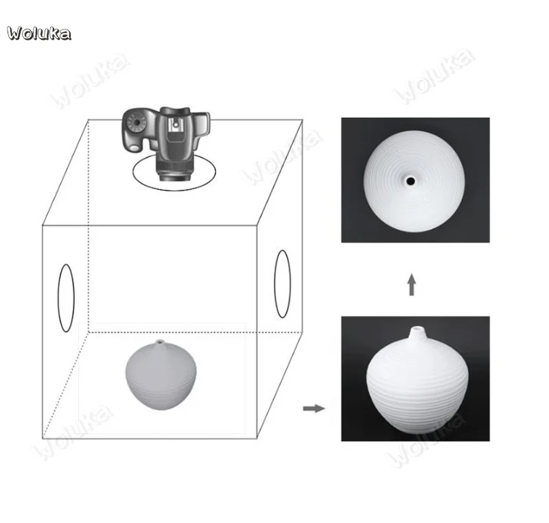 36020190226103359423