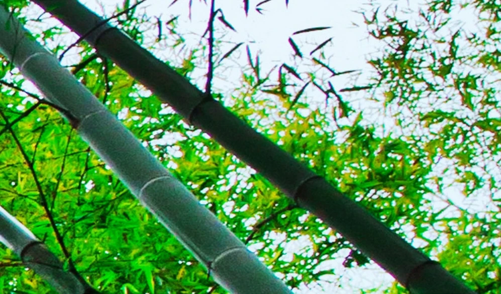 2017-09-16_224118_conew6