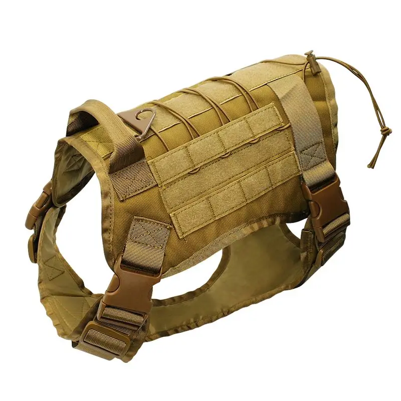 Coyote Brown