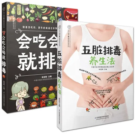 

2 Books China Health Diet Food Art Book Fruit Vegetable Juice Diet Therapy Liver Protection Fitness Meal Recipe Chinese Book
