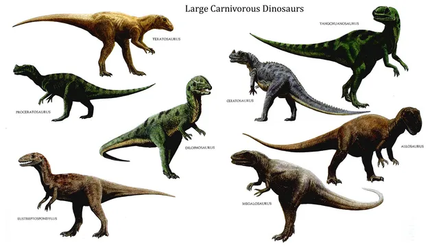 large carnivorous dinosaurs world