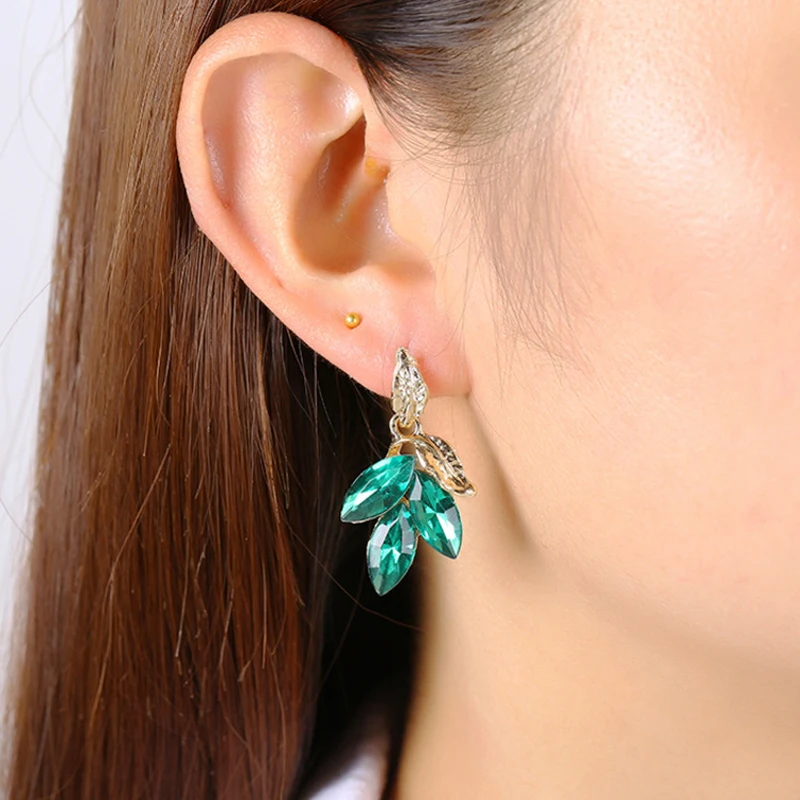 5011227015_496013726