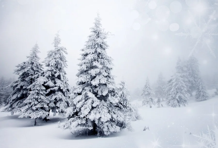 Laeacco Зимние горы снег сосновый лес сияющее небо живописные Фото фоны фотосессия фотография фоны для фотостудии - Цвет: NSW05394