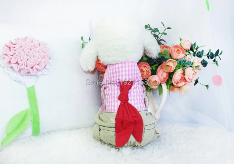 2016_Hot_sale_New_Spring_Pet_dog_clothes_College_Style_pet_Jumpsuit_Pants_Puppy_dog_Bib_clothes_Lovely_Four-legs_clothes_5