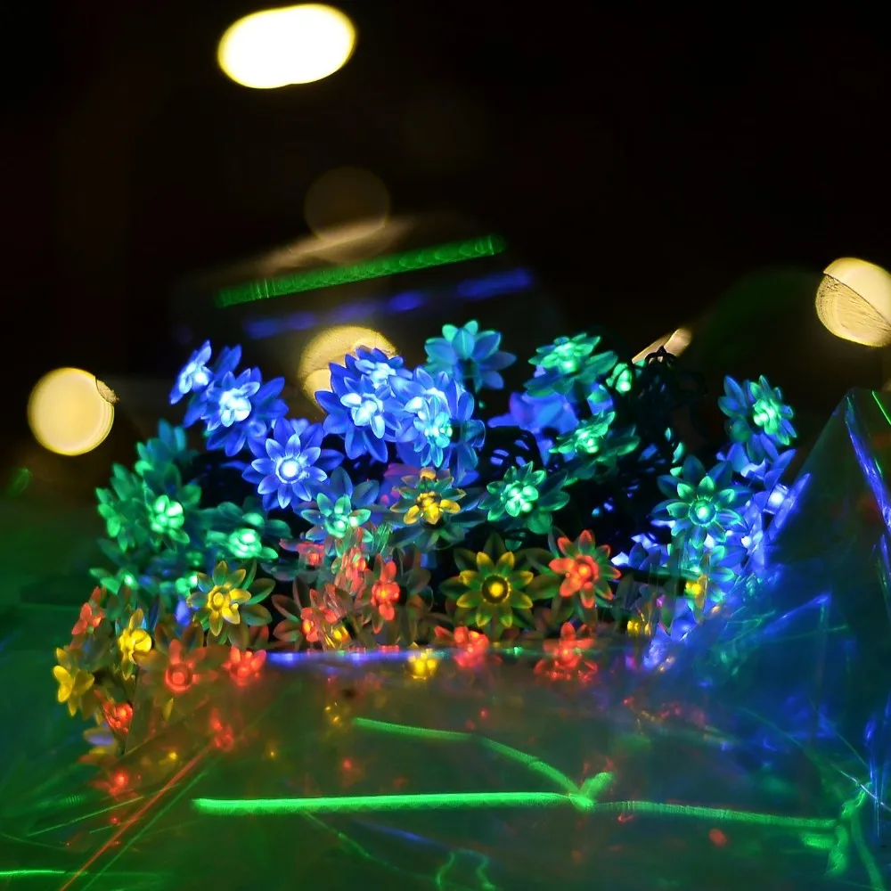 Solar String Lights (18)