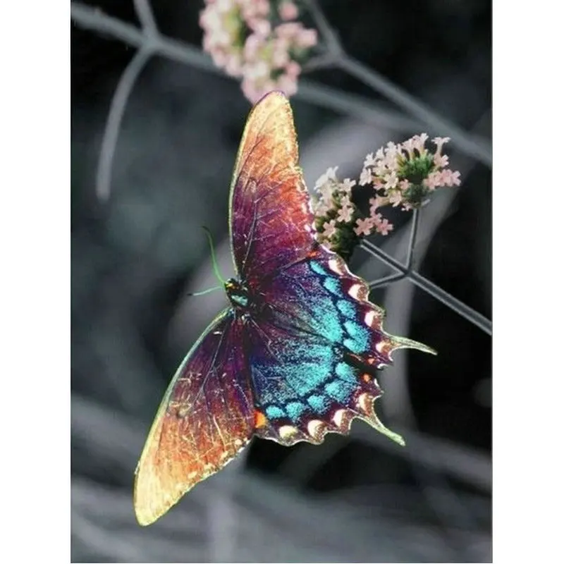 

DIY Diamond painting Cross stitch Kit rhinestones Diamond embroidery butterfly 3D square Diamond mosaic Needlework Pattern