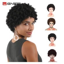 Special Price Wignee Short Afro Kinky Curly Human Hair Wigs For Black/White Women Remy Brazilian Glueless Curly Human Wig 2#/1#/99J/Brown Hair Special Price Wignee Short Afro Kinky Curly Human Hair Wigs For Black/White Women Remy Brazilian Glueless Curly Human Wig 2#/1#/99J/Brown Hair
