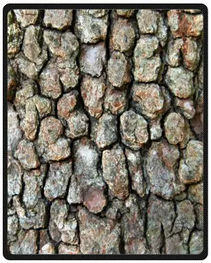 送料無料カスタム樹皮テクスチャ柔らかいフリース毛布ソファベッドスロー毛布マルチサイズ Fleece Blanket Bed Throwthrow Blanket Aliexpress