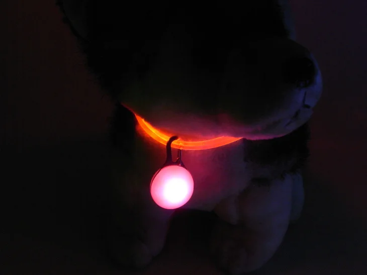 LED    (22)