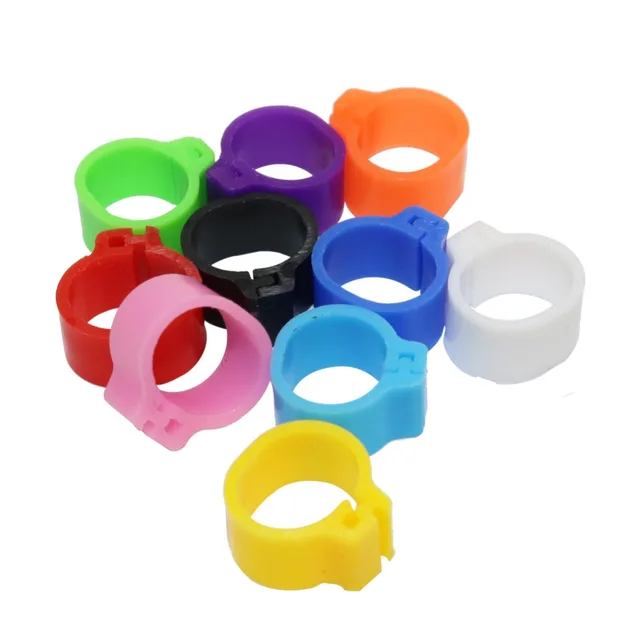 1000 Pcs Pigeons Rings 8mm/10mm Bayonet Identification Ring Opening Pigeon Ring Color Pigeon Foot Ring Pigeon Training Supplies