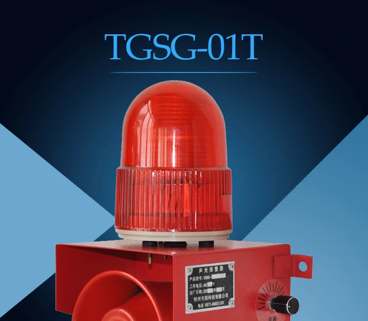 TGSG-01T_01