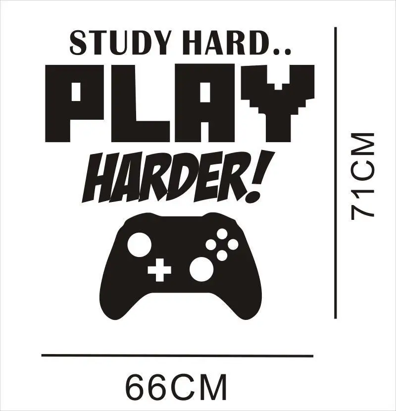 8224338895_68146657