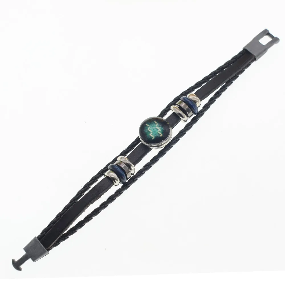 SB1207S-Aquarius-2