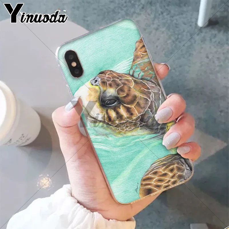 watercolor Turtle Tortoise
