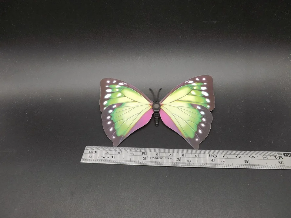 I238-Butterfly (12)