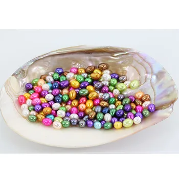 

Love Wish Freshwater Pearl Oyster Shell Gifts wholesale 36colors 6-7MM Pearl in Oyster Shell 30pcs/lot FR104