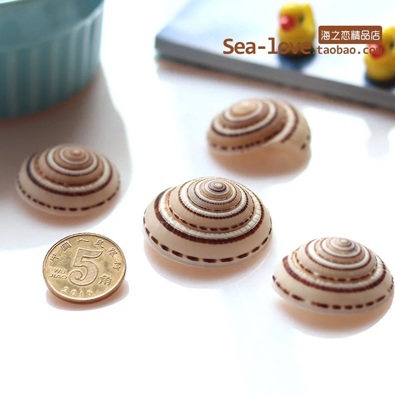 

Creative DIY Lucky Message Bottle Fish Tank Shooting Props Sea Snail Shells Starfishes Mediterranean Specimens Gifts Ornaments