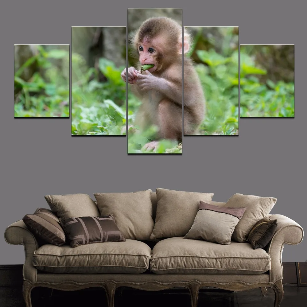 

Home Decoration Canvas Painting HD Prints 5 Pieces Animal Monkey Wall Art Frame Modular Modern Pictures Cuadros Artwork Poster