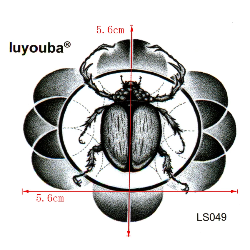 ls049-1