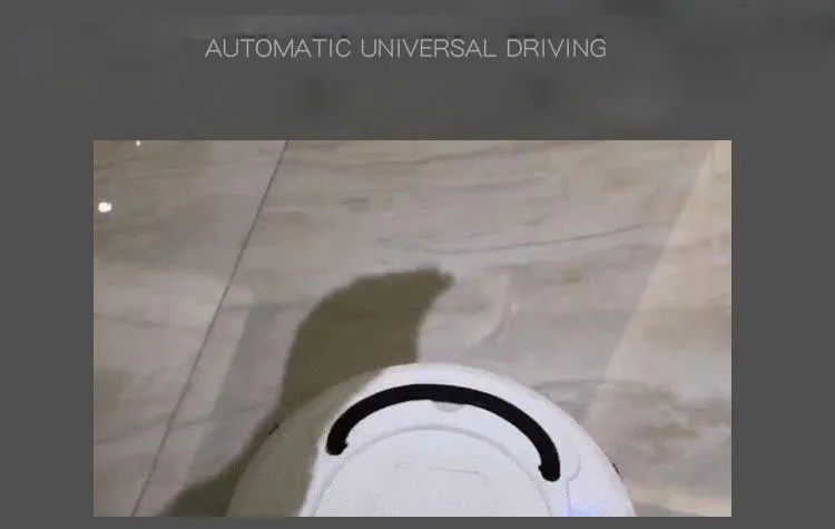 10158816447_1003039950