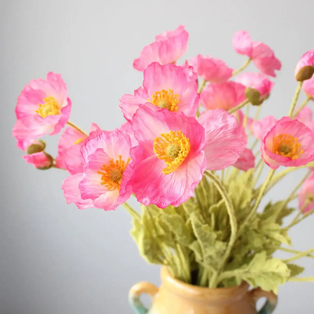 IMG_6612_conew1