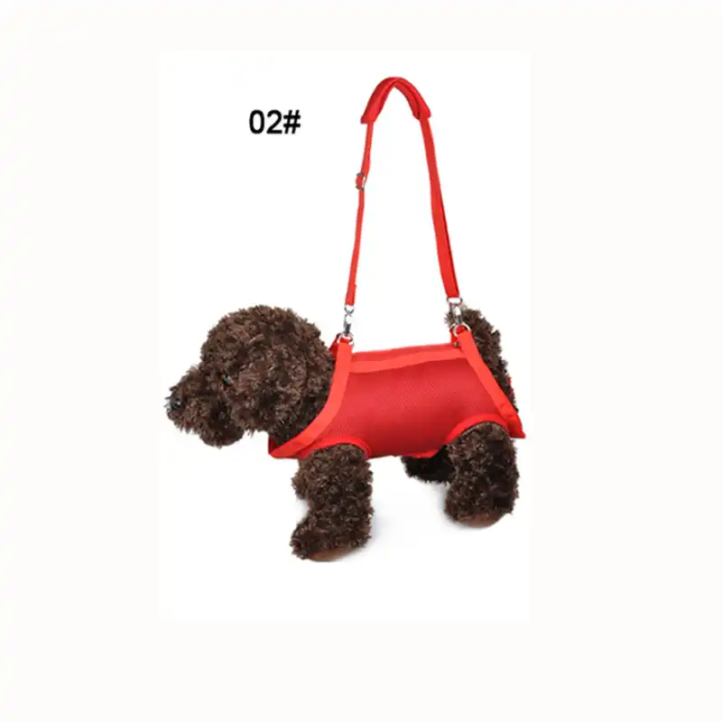 small dog lift harness