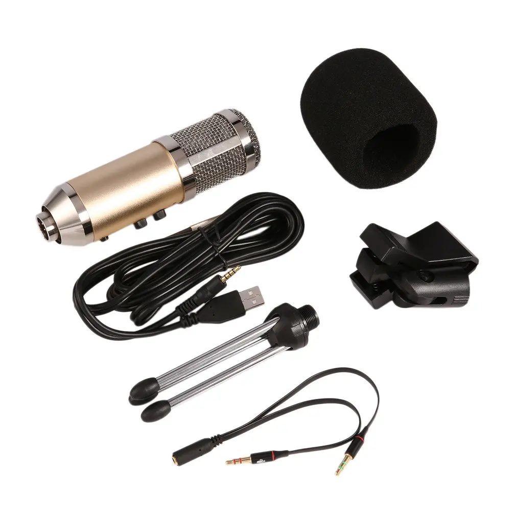 

Vocal Wired Microphone Professional Large Diaphragm Studio Recording Microphone for Computer Mobile Phone MK-F500TL