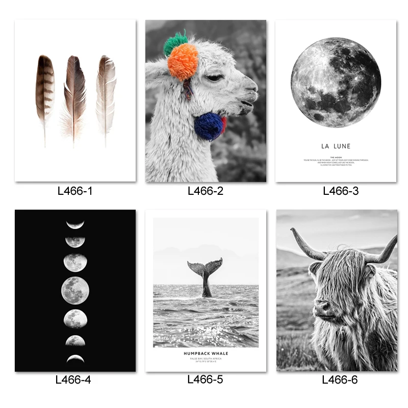 Альпака лама настенная печать Лунная фаза холст Paining высокогорная корова аниме