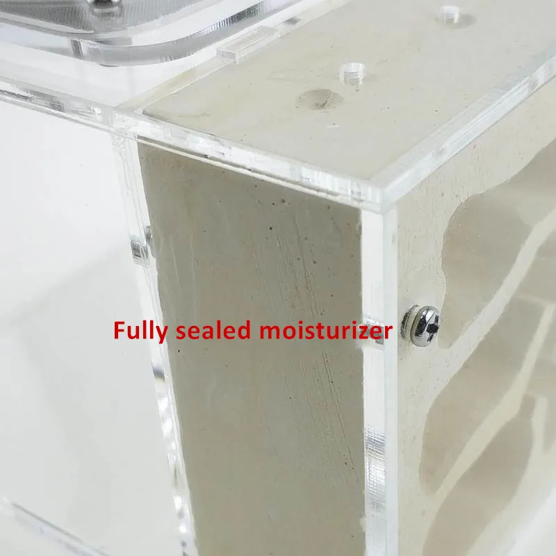 Small Ant Colony Acrylic Plaster Combo Hybrid Nest Ants Farm Ant Formicarium Box (9)