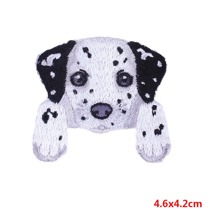 PE2226CT