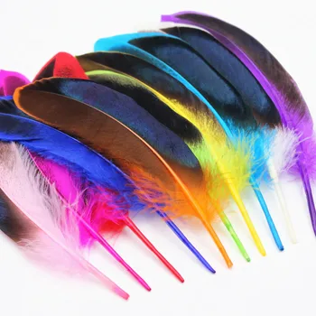 

20pcs Pheasant Feather 12-14cm Diy Clothing Necklace earrings dance accessories Decorative Feather Multicolor optional YM77-85