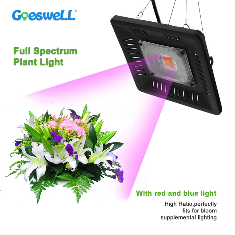 

200W 100W COB Led Grow Light Full Spectrum Plant Lights Waterproof IP67 Vegetable Flower Herbs Indoor Hydroponic Greenhouse Lamp