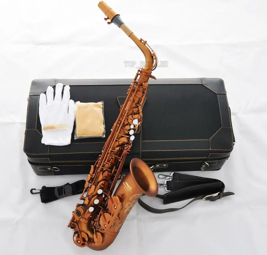 

RODWA Professional Mercury Alto Sax Matte Coffee Saxophone 875 Model Saxofone With case