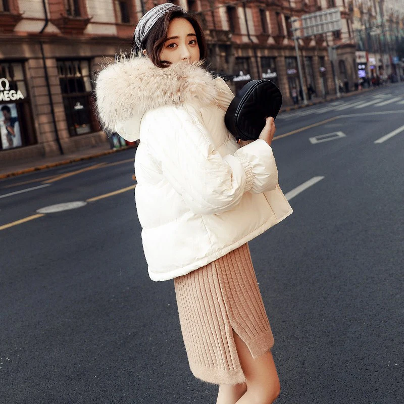 Big Real Raccoon Fur 2018 Winter Jacket Women Female Snow Coat White Duck Down Jacket Thick Warm Down Parka Winter Woman Coat